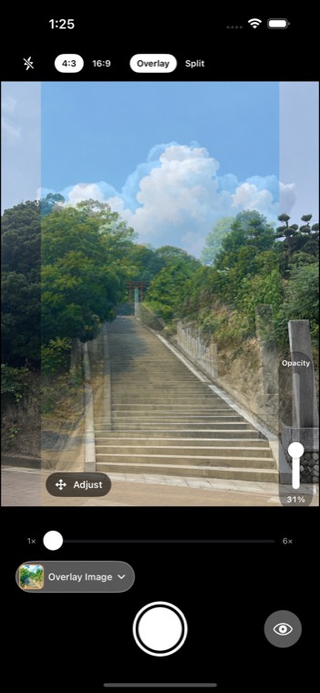 Adjusting the position and size of the reference image