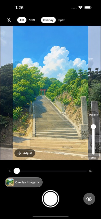 Reference image shown as a translucent overlay on the viewfinder